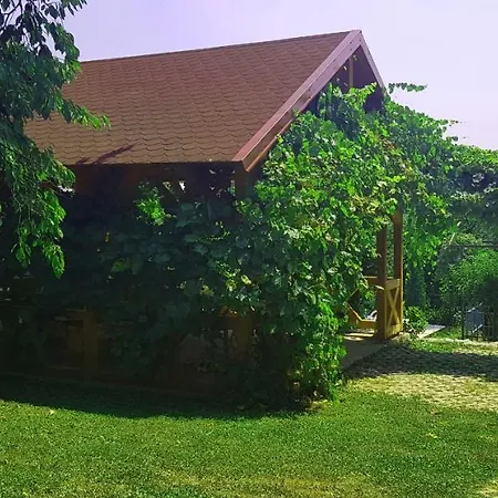 Aida Villa